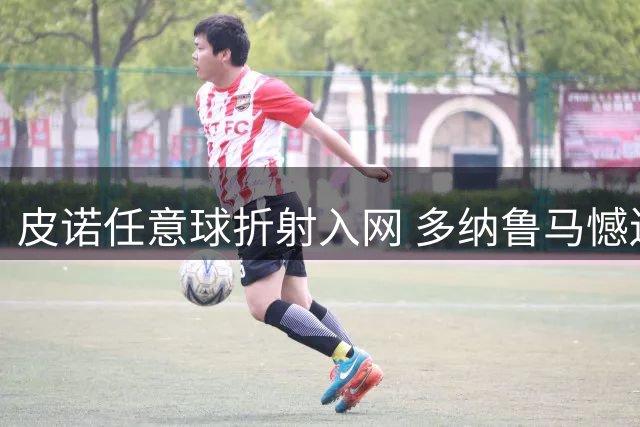 皮诺任意球折射入网 多纳鲁马憾送乌龙大礼